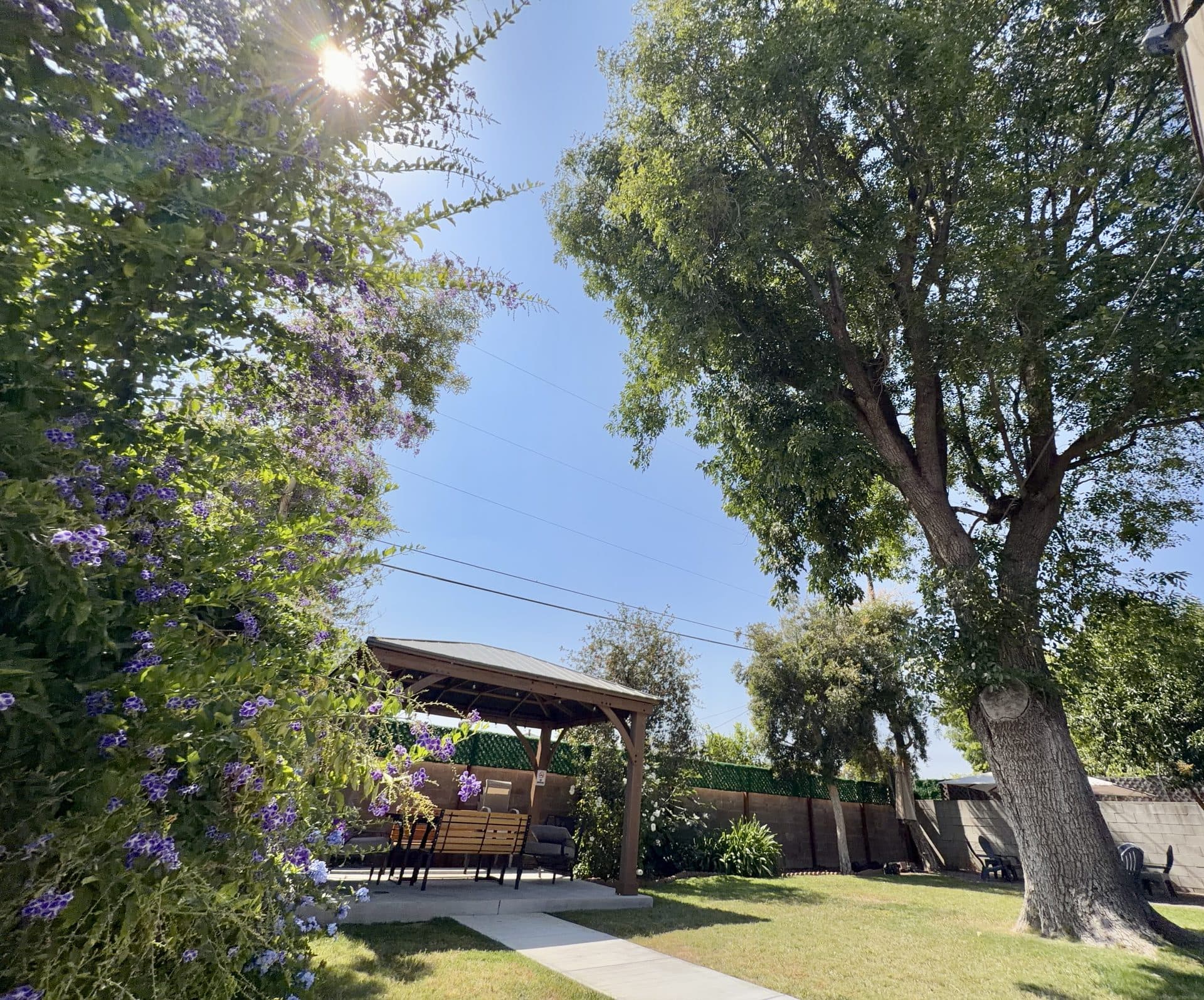 Soterra Health — Garden with sun through trees