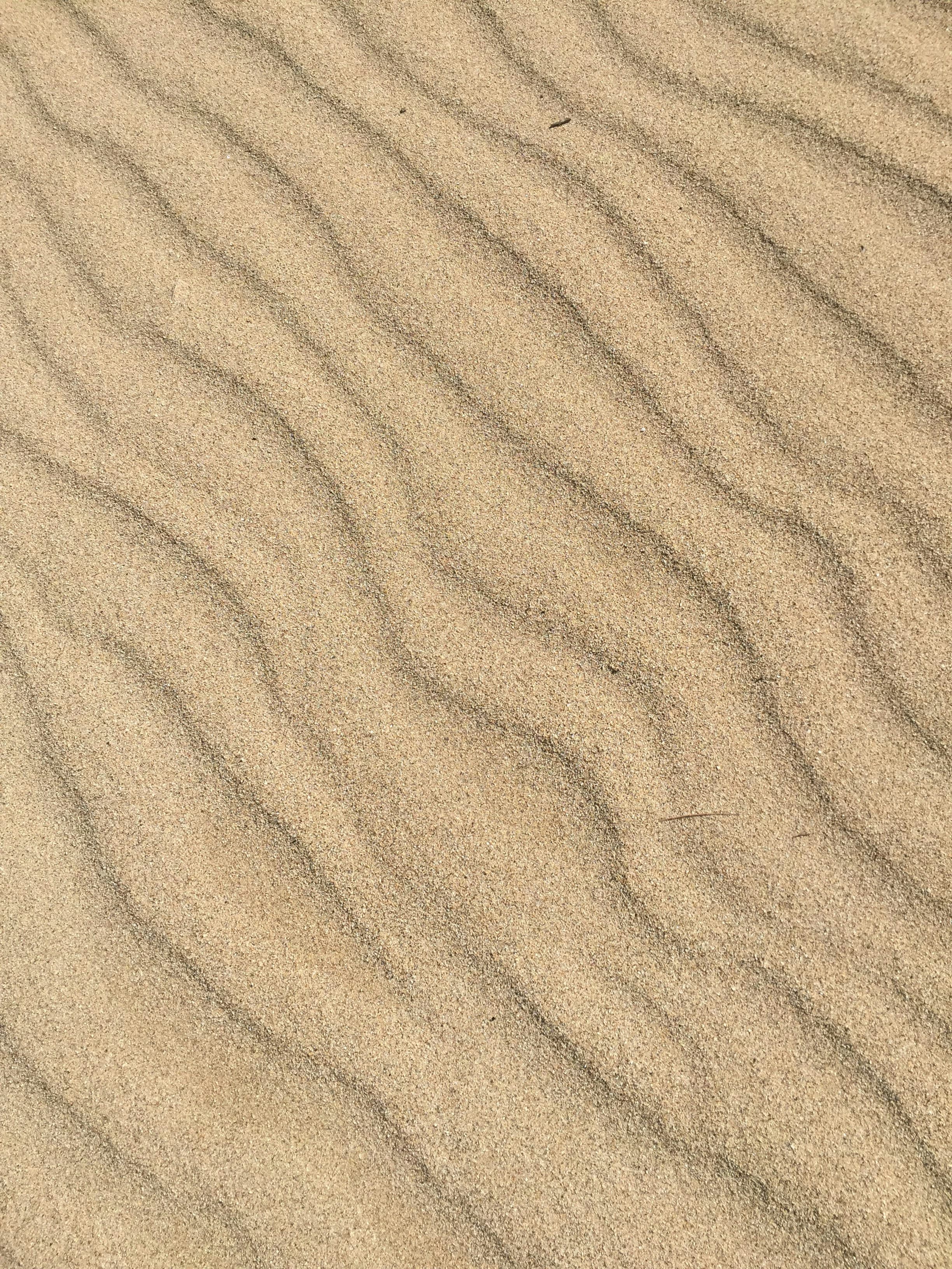 Sand Ripples